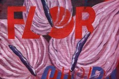 cris-pagnoncelli-flor